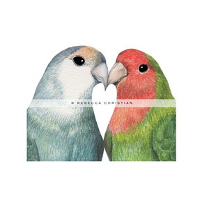 Gay wedding card Lesbian wedding card Love Bird Wedding Card Gay Wedding Love Birds Wedding Card Gay wedding Card Mrs and Mrs image 7