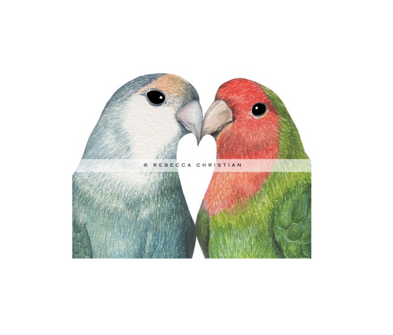 Gay wedding card Lesbian wedding card Love Bird Wedding Card Gay Wedding Love Birds Wedding Card Gay wedding Card Mrs and Mrs image 7