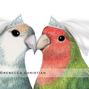 Gay wedding card Lesbian wedding card Love Bird Wedding Card Gay Wedding Love Birds Wedding Card Gay wedding Card Mrs and Mrs image 2