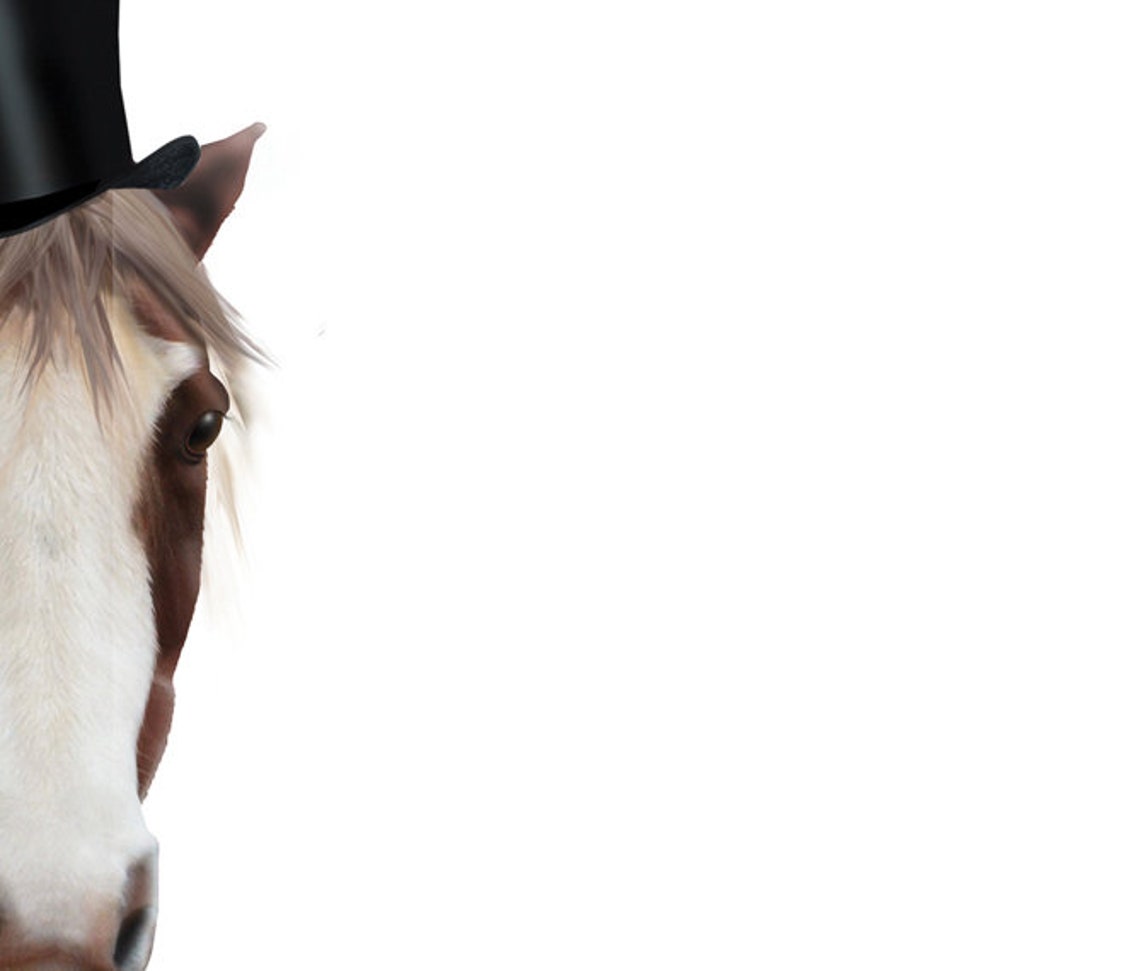 Horse Wedding Gift Horse Themed Wedding Gift Mr & Mrs Etsy