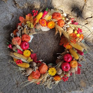 Autumn door wreath, Wreath autumn harves, Physalis wreath, Fall pumpkin wreath for front door, Fall wreath for front door, Autumn decor image 4