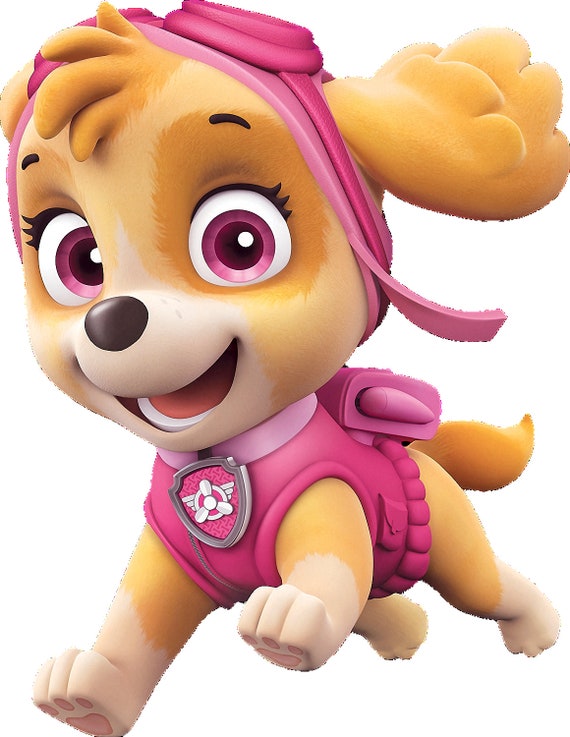 paw patrol sky