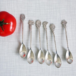 Set di 6 cucchiaini da tè vintage olandesi placcati in argento con motivo floreale / H.Hooijkaas per Douwe Egberts / Design ispirato all'Art Nouveau