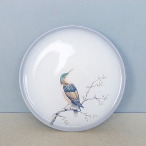 Könnte beinhalten: Weiße Keramikplatte mit einer gemalten Illustration eines Vogels auf einem Ast. Der Vogel hat blaue, grüne und beige Federn. Die Platte hat einen hellblauen Rand und einen hellblauen Hintergrund.