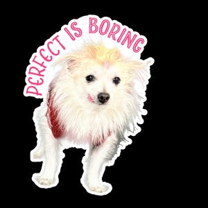 May include: A sticker featuring a small, shaggy white dog with a red garment, its tongue slightly visible. Above the dog, the text "PERFECT IS BORING" is written in a bold, pink, arched font. The entire design is set against a solid black background.