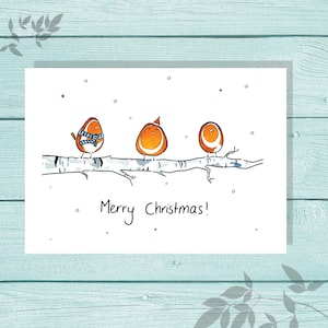 Aquarelle Illustration Robin Cartes de Noël - Paquet de 6 ou Cartes Individuelles