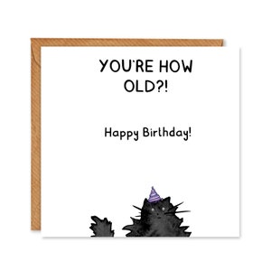 Cartão chocado bonito do feliz aniversario do gato você tem quantos anos? Cartão de aniversário Cat Lover - Pacote de 6 ou cartões individuais
