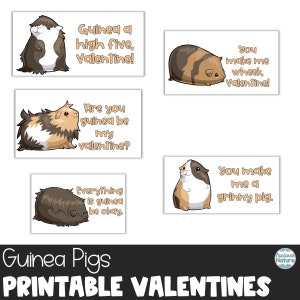 Meerschweinchen Valentinstag Karte, Meerschweinchen Valentinstag Karte, Valentinstag Karte für Kinder im Klassenzimmer, Hamster Valentinstag Karte zum Downloaden