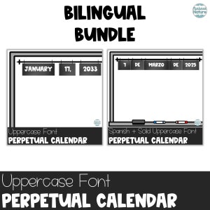 2025 Bilingual Chalkboard Farmhouse Classroom Decor Flip Calendar - English and Spanish  with Uppercase Font