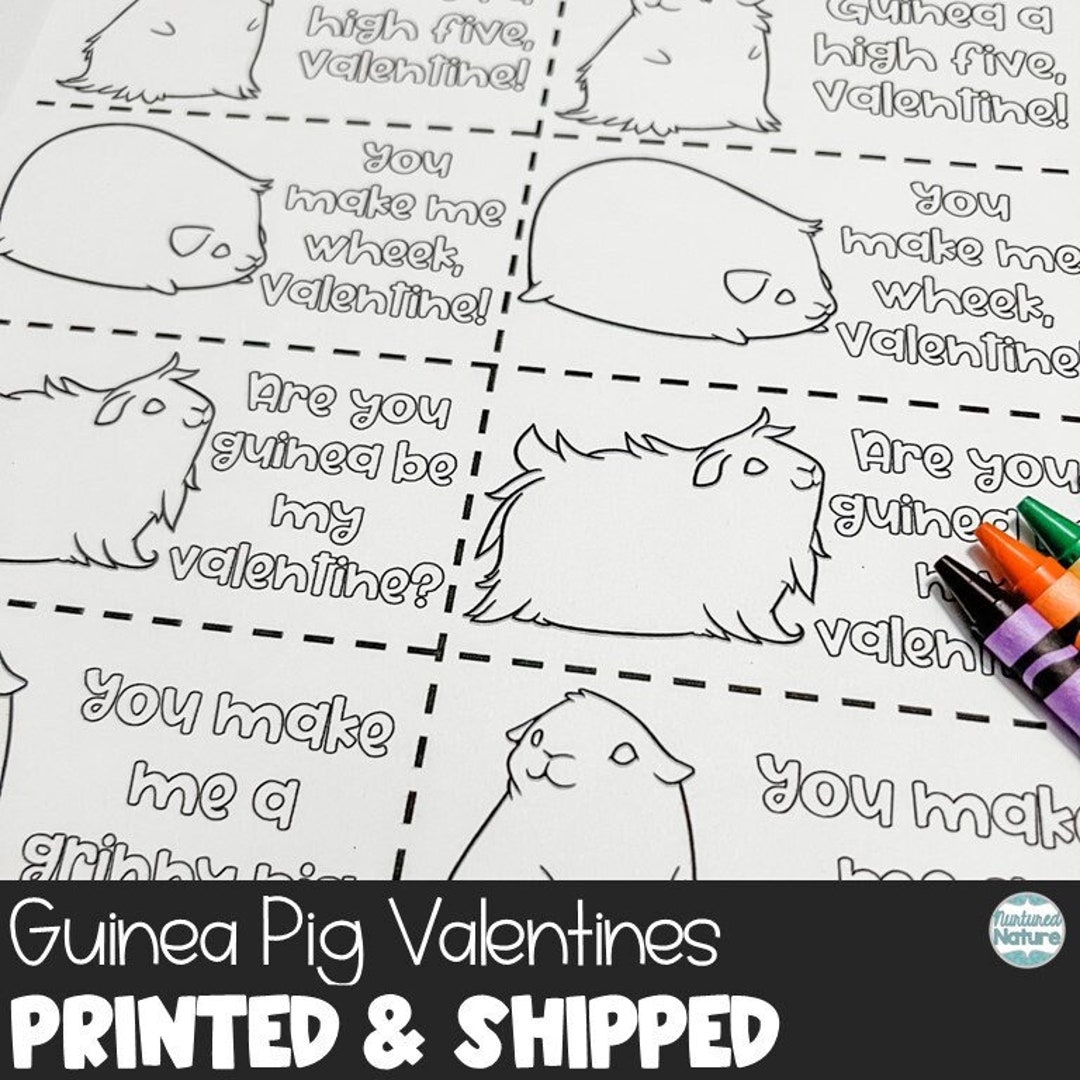 Guinea Pig Coloring Valentines Cards for Kids Classrooms, Guinea Pig ...