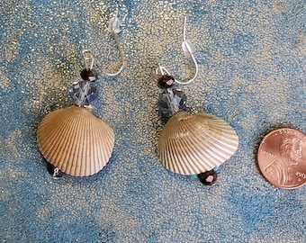 Seashell earrings