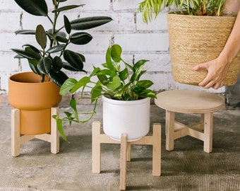 Soporte multifuncional para macetas que eleva y embellece tus plantas, además de servir como taburete o mesa de centro. LA SELVA +