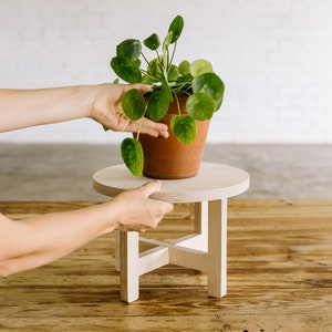 Könnte beinhalten: Ein kleiner, runder, hellfarbiger Pflanzenständer aus Holz mit einer Topfpflanze. Der Blumentopf ist aus Terrakotta. Der Ständer hat ein schlichtes, minimalistisches Design mit vier Beinen und einer kreisförmigen Oberseite. Der Ständer hat einen Durchmesser von etwa 30 cm.
