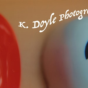May include: A close-up of a red and white abstract image with the text "K. Doyle Photography" in white.