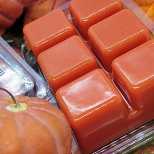 May include: Six orange wax melts in a clear plastic tray. The wax melts are square shaped and have a shiny, glossy finish.