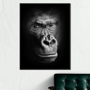 Black and White Gorilla: Animal Photography | Bold Primate Art | Wildlife Wall Decor | Modern Minimalist Print | Nature Home by NICHECANVAS