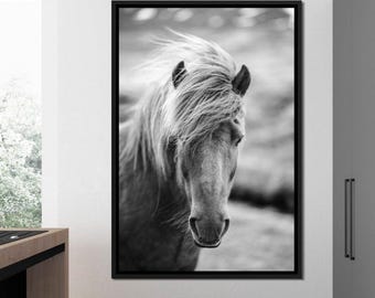 May include: Black and white photograph of a horse's head and neck. The horse has a long, flowing mane and a gentle expression.