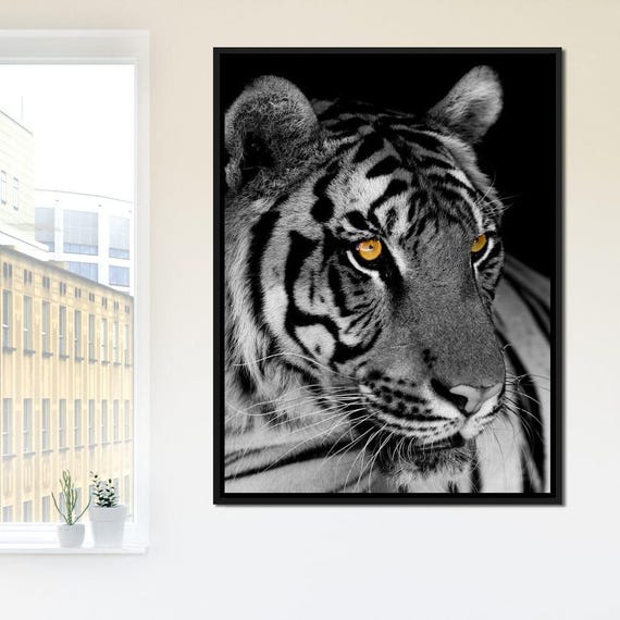 Black and White Tiger With Yellow Eyes: Fierce Animal