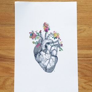 anatomisches Herz Blumen Bild 1