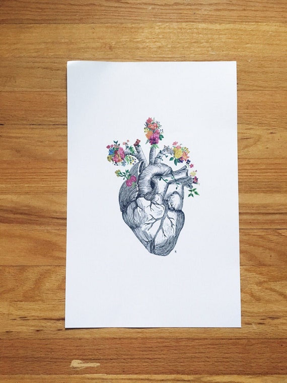 cuore anatomico 