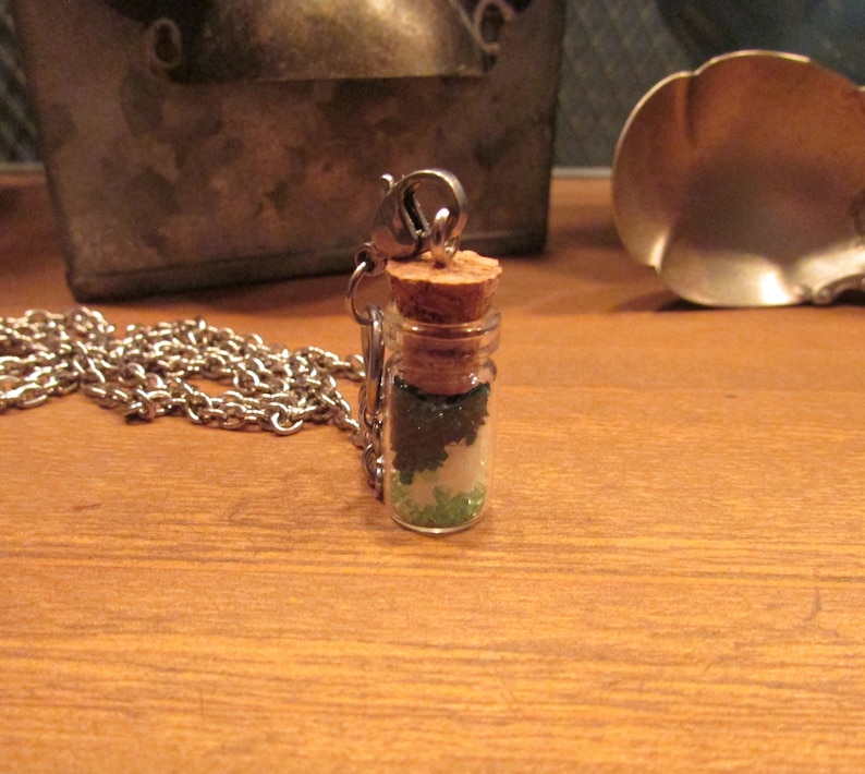 Glows in the Dark Irish Luck St Patrick/'s Day Green Crystal Glowing Stars Glass Vial Bottle Necklace with a 30 inch Silver Plated Chain