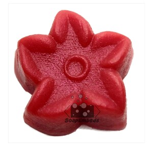 Peut inclure: Un savon rouge en forme d'étoile avec un motif en relief au centre. Le savon est fabriqué par SoapEmbeds.