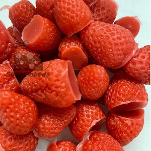 Strawberry Small (formally Medium) Soap Embeds - Unscented Soap Favor