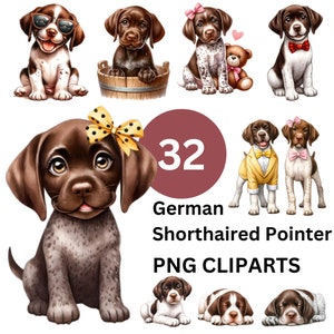 May include: A set of 32 digital clipart images featuring German Shorthaired Pointer dogs in various poses. The dogs are depicted in a cartoon style with brown, white, and black fur. Some dogs are wearing accessories like bows and collars.