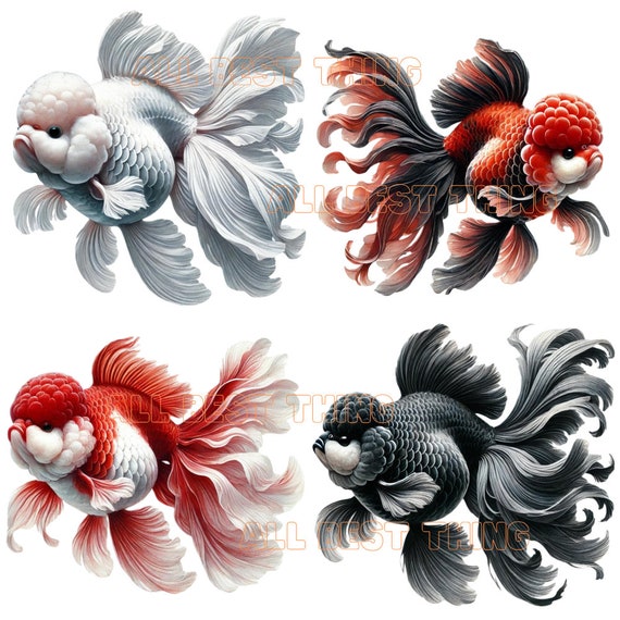 28 水彩画のオランダ金魚のクリップアート PNG、派手な金魚のイラスト