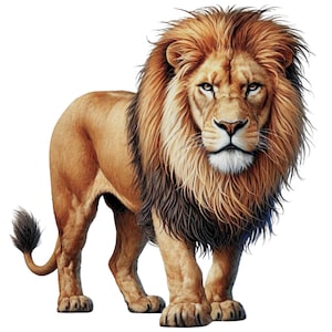 28 Lion Clipart PNG, Watercolor Lion, Printable Watercolor clipart, High Quality PNGs, Digital download, High Resolution, Paper crafts