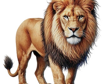 28 Lion Clipart PNG, Watercolor Lion, Printable Watercolor clipart, High Quality PNGs, Digital download, High Resolution, Paper crafts