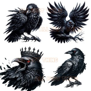 May include: Four black raven illustrations with detailed feathers and red eyes. The ravens are in different poses, including perched, flying, and with a crown.