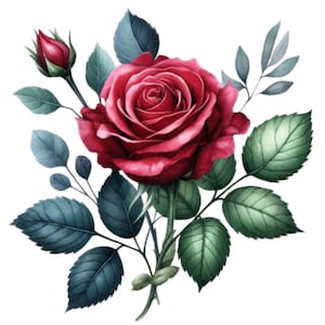 40 Watercolor rose PNG clipart, high quality PNG Files, flower clip art, roses bouquet, sublimation design, printables, commercial use,