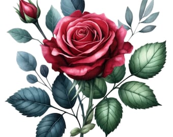 40 Watercolor rose PNG clipart, high quality PNG Files, flower clip art, roses bouquet, sublimation design, printables, commercial use,
