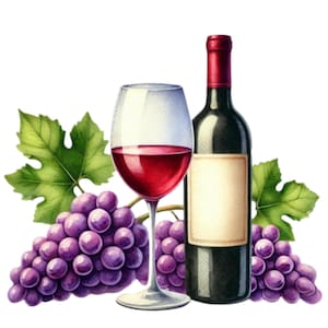 24 Glass of Wine Clipart PNG, Digital Clipart Bundle - High Quality Images , Printable Art , Digital Download, Commercial Use, Sublimation