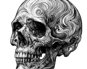 Puede incluir: Una ilustración detallada en blanco y negro de un cráneo humano con intrincados patrones de espiral en la parte superior de la cabeza.