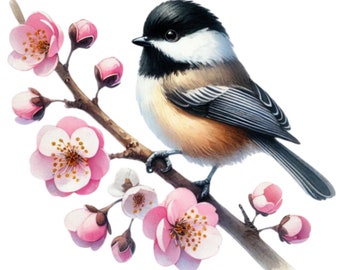 May include: A black-capped chickadee perched on a branch with pink blossoms. The bird has a black cap and bib, white cheeks, and gray wings. The blossoms are in full bloom and have delicate pink petals.