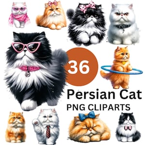 Könnte beinhalten: Ein Set mit 36 digitalen Clipart-Bildern, die persische Katzen in verschiedenen Posen und Outfits zeigen. Die Katzen sind im Cartoon-Stil mit großen Augen und flauschigem Fell dargestellt. Einige Katzen tragen Sonnenbrillen, Schleifen und Halsbänder. Die Bilder sind perfekt für Bastelprojekte, Scrapbooking und digitales Design.