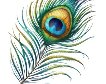 54 Watercolor Peacock Feather clipart PNG bundle, digital download, digital planner, instant download, watercolor clipart, commercial use