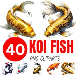 40 Koi Fish Clipart Bundle 20pc PNG  | Koi PNG | Koi Clipart | Koi Fish Clipart | Koi Fish Art | Japanese Koi Clipart  Koi Clipart Png