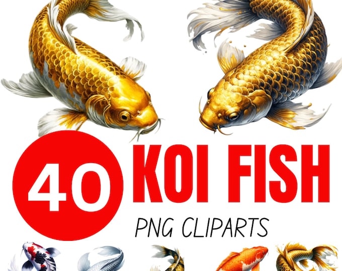 6 Koi Fish Clipart, Koi Fish PNG, Japanise Carp, Digital Graphic ...
