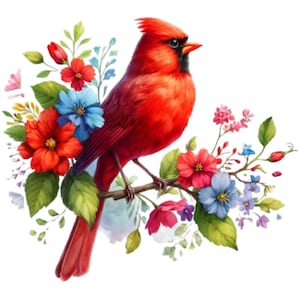 24 Red Cardinal Bird PNG Clipart, Bird PNG, Printable Watercolor clipart, High Quality PNG, Digital download, Paper craft, junk journals