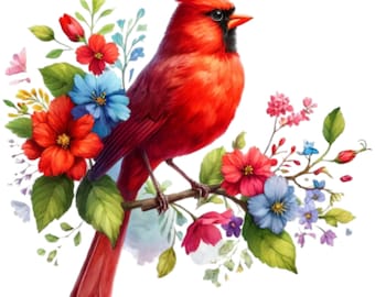 24 Red Cardinal Bird PNG Clipart, Bird PNG, Printable Watercolor clipart, High Quality PNG, Digital download, Paper craft, junk journals