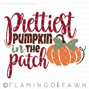 Cutest pumpkin svg, Prettiest pumpkin svg, girl pumpkin svg, thanksgiving svg, Prettiest pumpkin in the patch, pumpkin patch svg, Sublimatio