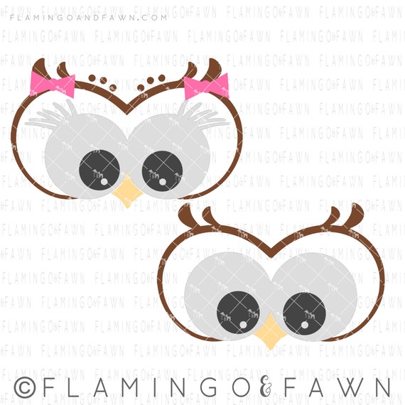 Download Owl Face Svg Owl Svg Animal Face Svg Svg Owl Files Baby Etsy