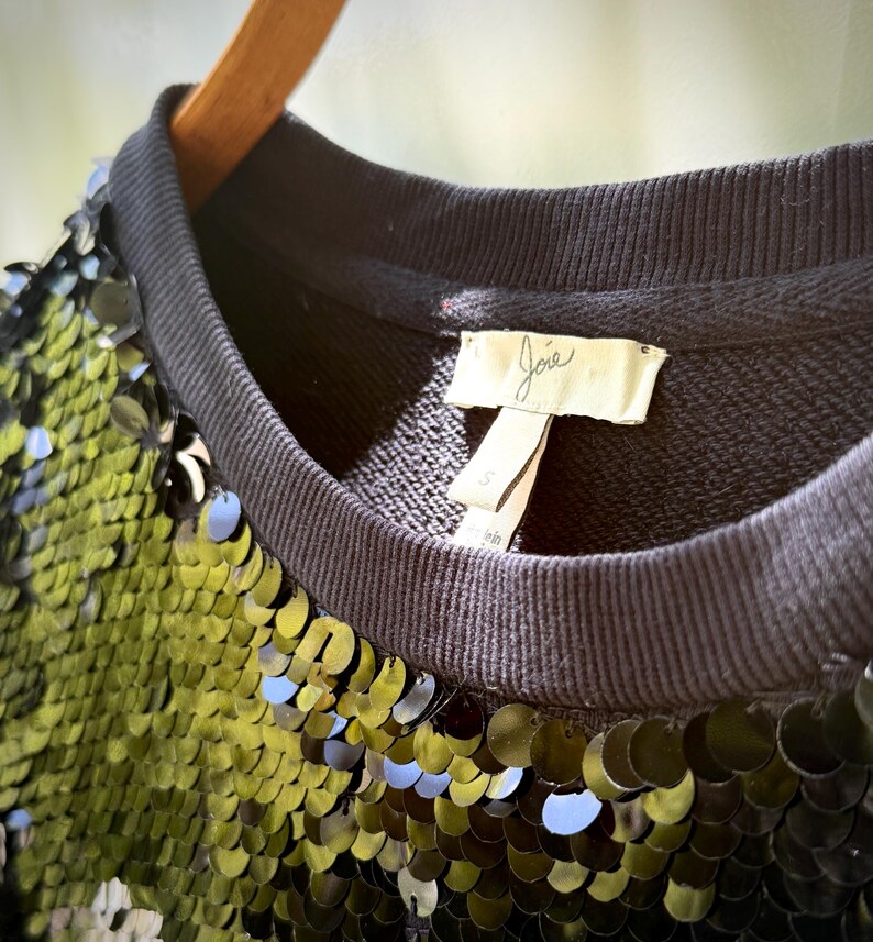 K&ouml;nnte beinhalten: Ein schwarzes Sweatshirt mit Paillettenbesatz und geripptem Rundhalsausschnitt und B&uuml;ndchen. Das Kleidungsst&uuml;ck hat ein Etikett mit der Aufschrift "Joie". Die Pailletten sind eine Mischung aus Schwarz und Gr&uuml;n und erzeugen einen schimmernden Effekt. Das Sweatshirt h&auml;ngt an einem Holzb&uuml;gel.