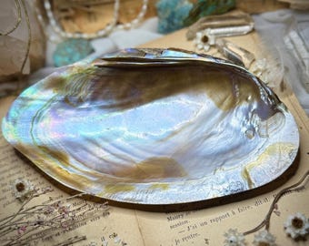 Vintage Japanese Hand-Picked High Shine Iridescent Completely Polished Half Seashell Caviar Serving Jewelry Dish