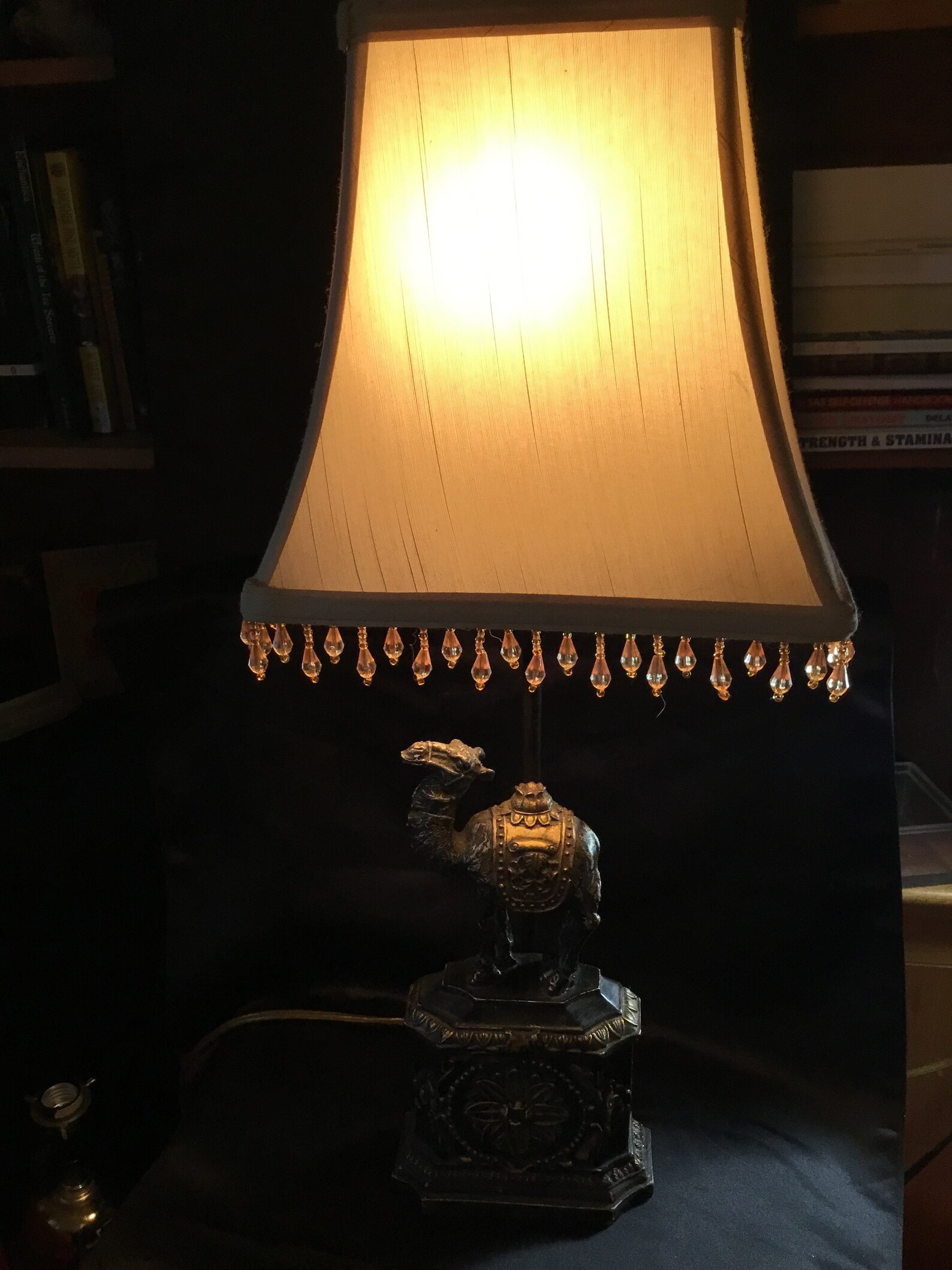 Vintage Camel Lamp With Shade Beaded Lamp of Desert Camel Etsy