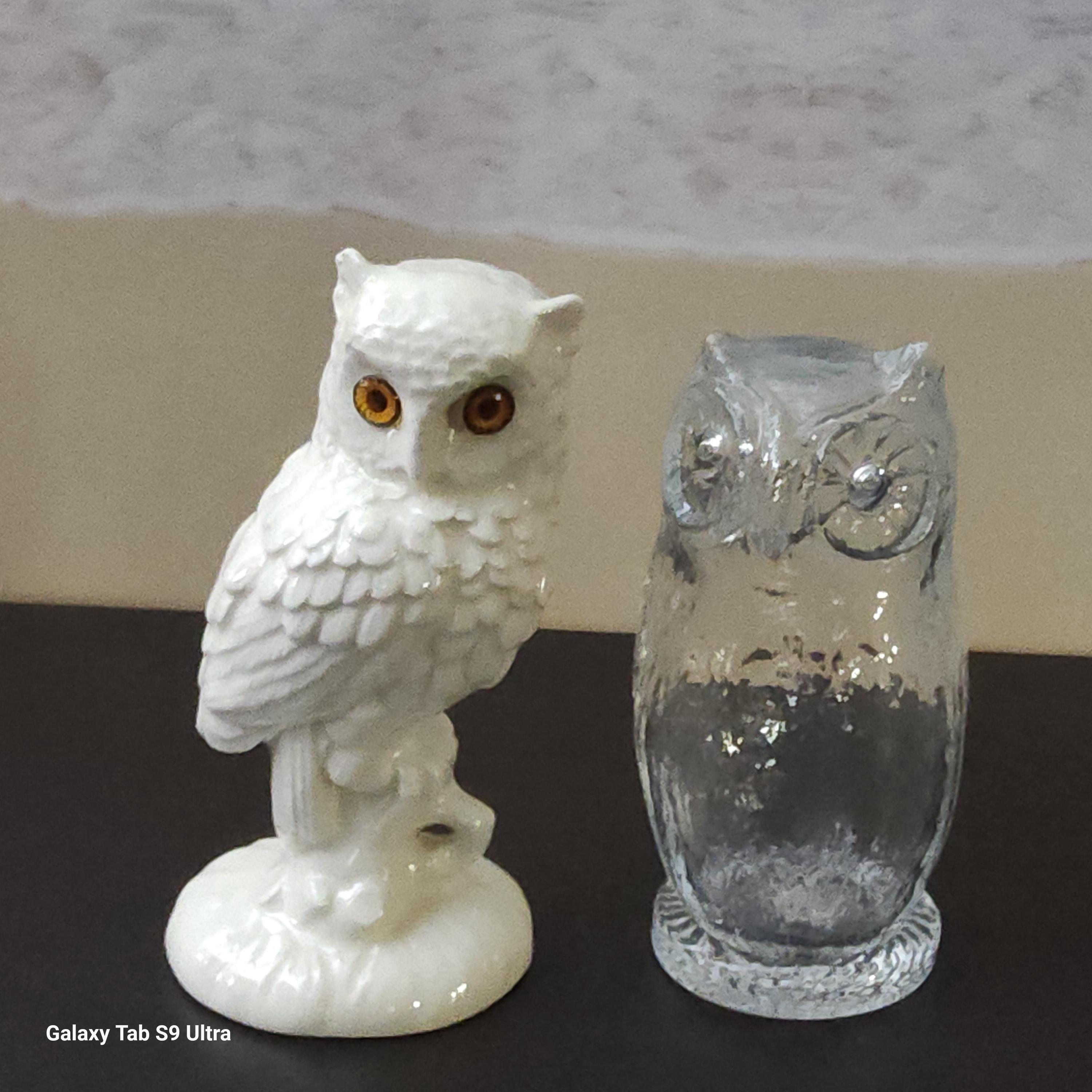 Vintage Owl Figurine Pair &ndash; White Ceramic & Clear Glass &ndash; Mid Century Collectibles