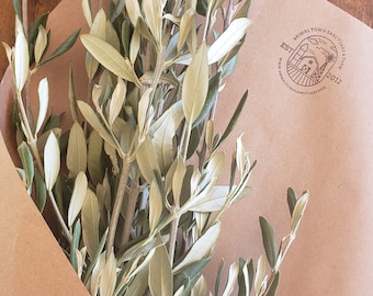 OLIVE BRANCHES - organic - fresh cut - Olive Branch Home Decor - Olive Branch Bridal Wedding